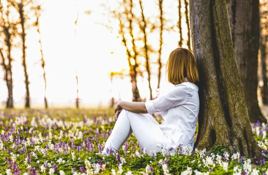 Best 20+ Forest Photoshoots You Will Love in 2024!